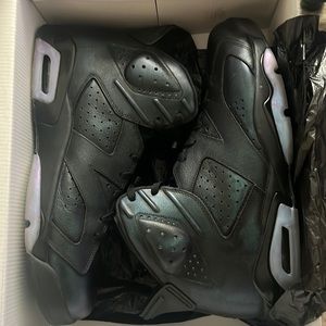 Retro jordan 6 “Chameleon”
